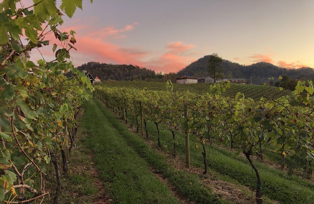 Asheville NC Wineries & Winery Tours